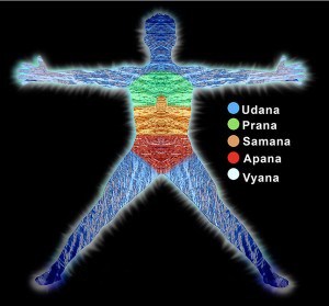 prana-vayus