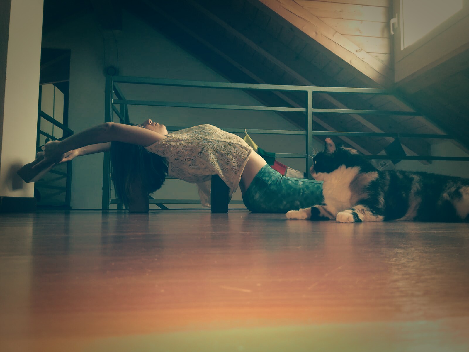 IMG-20180512-WA0002_1