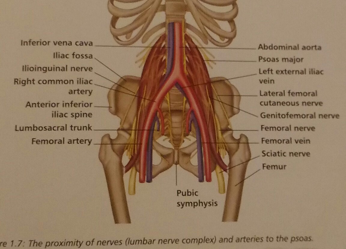 P_20180615_174312_LL_2