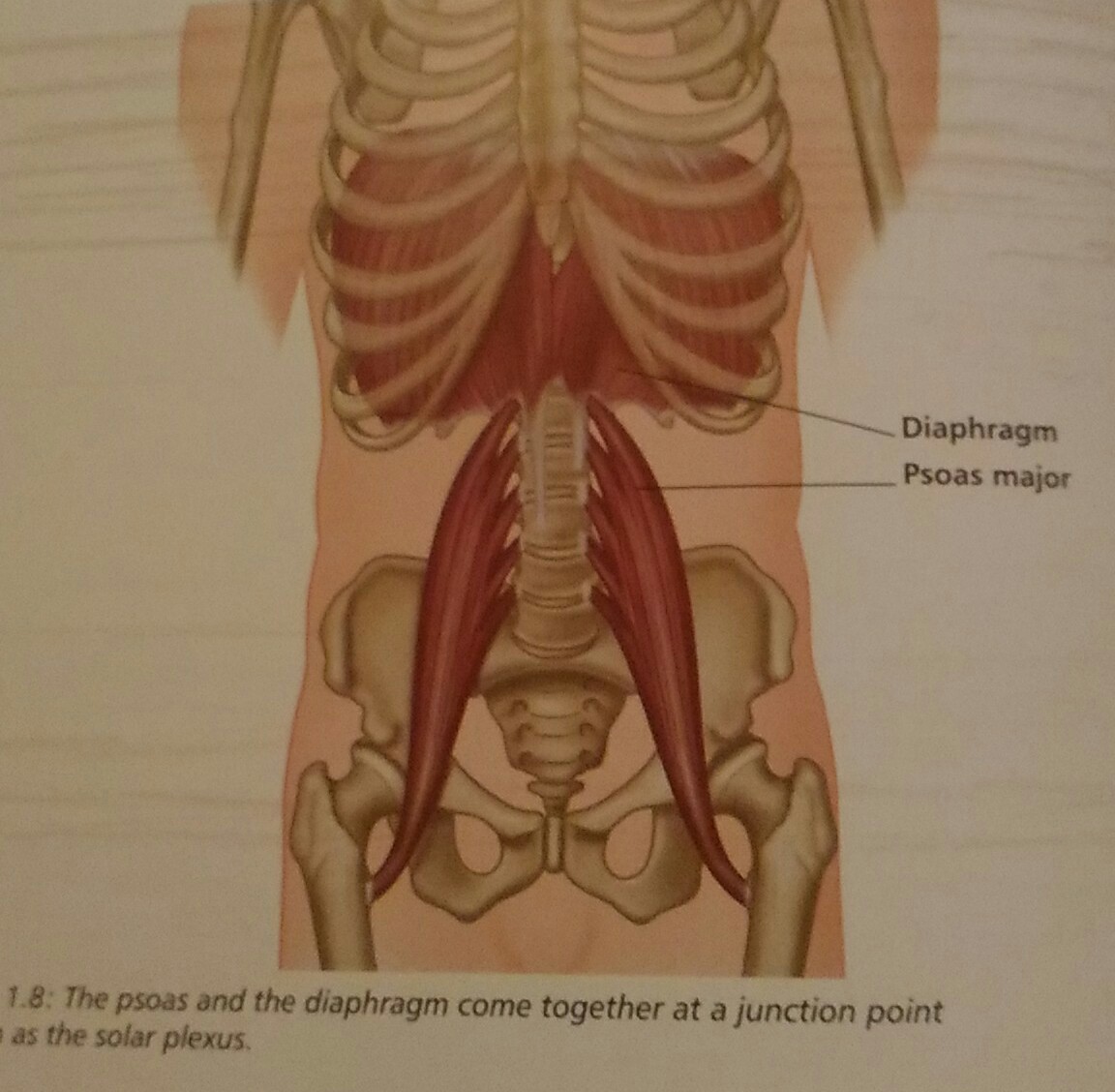 P_20180615_174318_LL_1