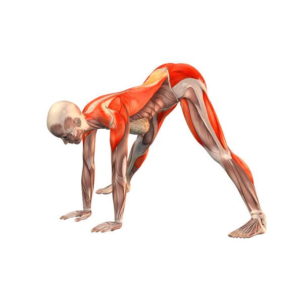 69f489c41981953b081f5e32565a9c23