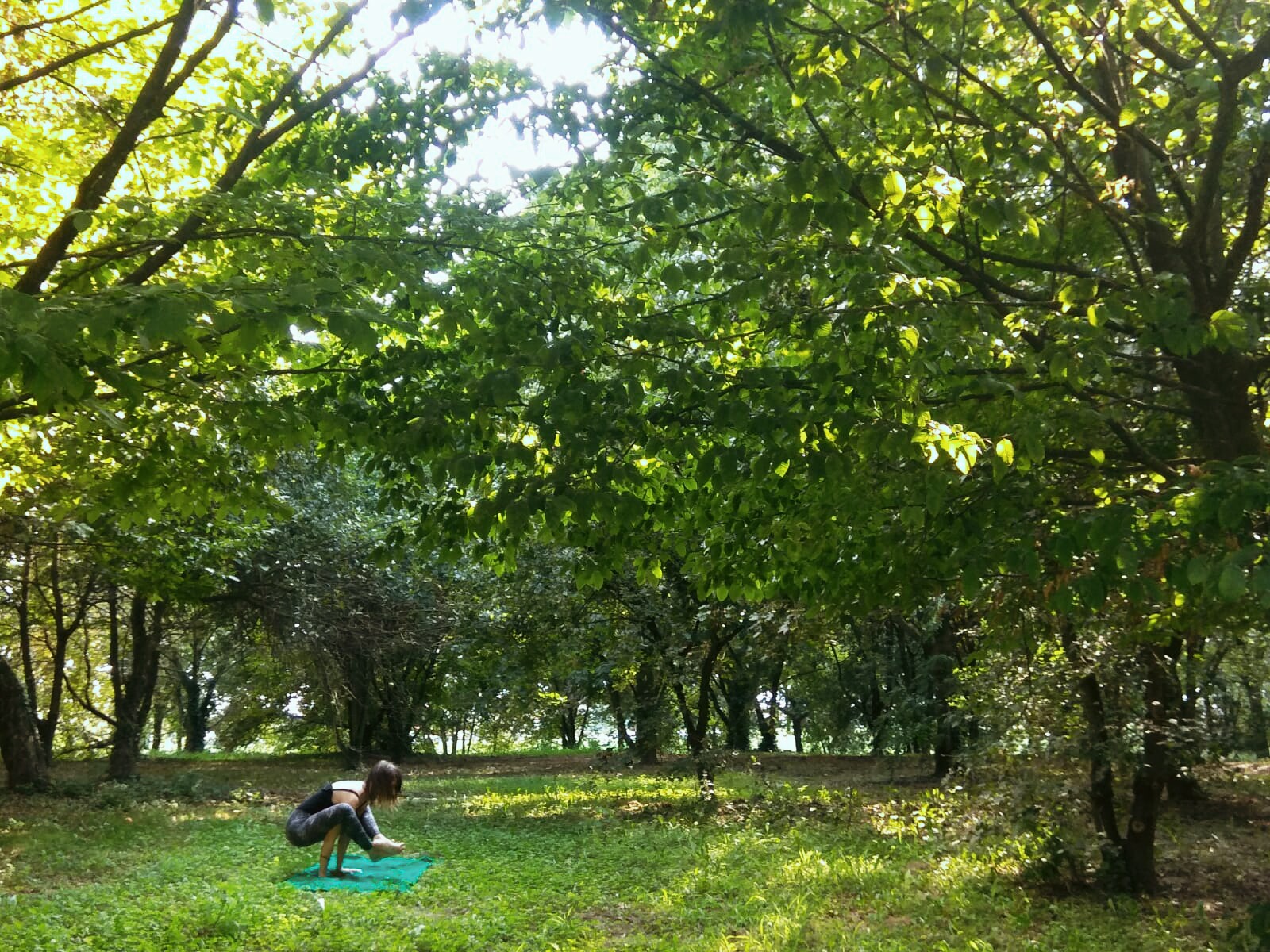 IMG-20180812-WA0001_1