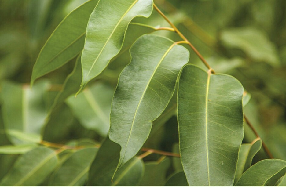 screenshot_20190104-143421_1