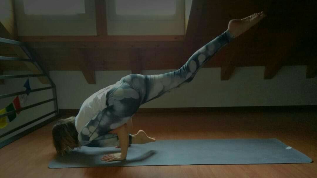 FB_IMG_1551027383558_1