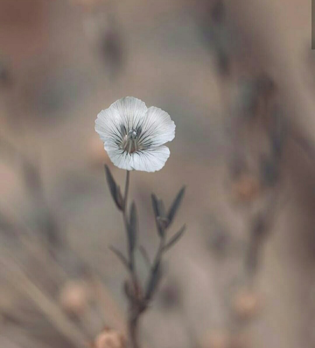 Screenshot_20190223-213859_1