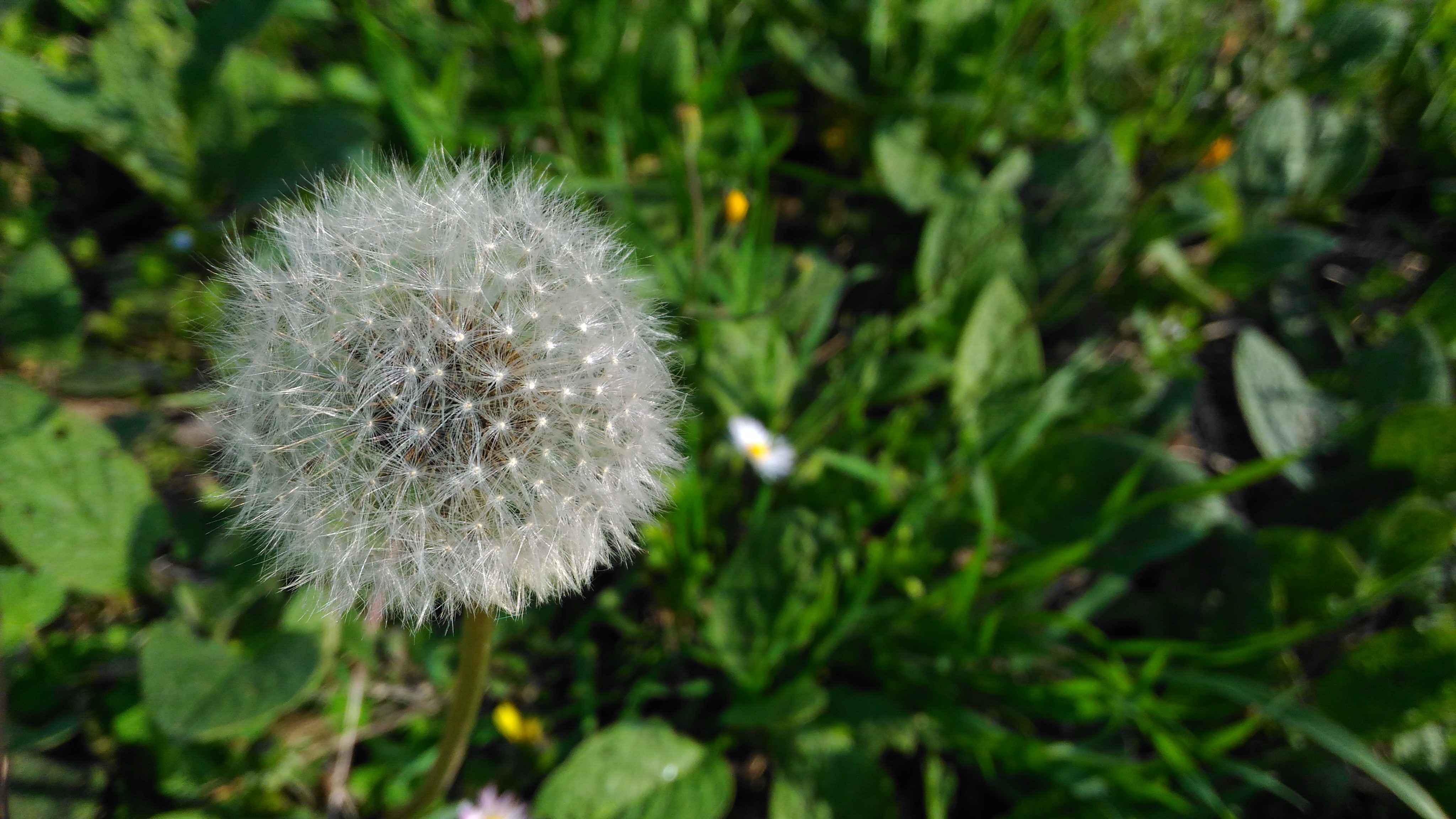 P_20180407_171727_DF