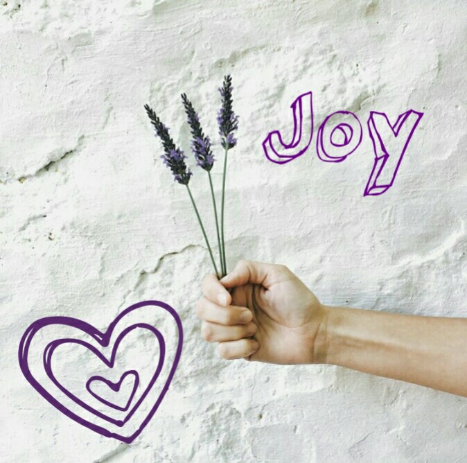 201906201561046152694_1