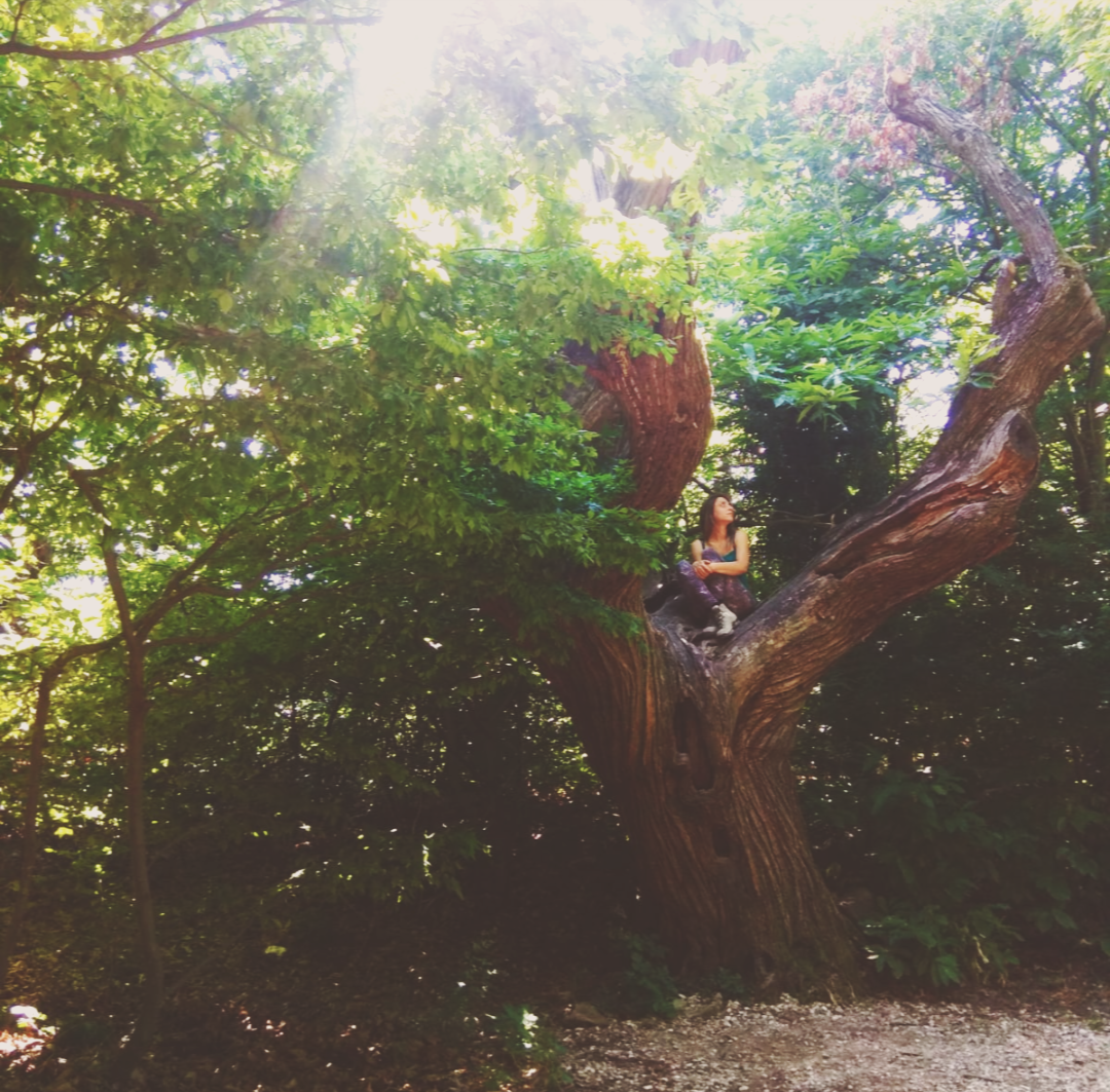 Screenshot_20190702-131800